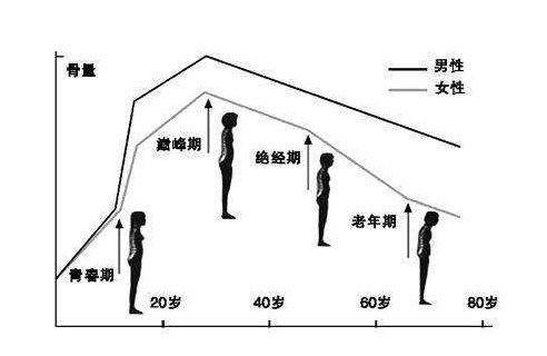 骨密度检测仪器厂家三岁婴儿骨密度的正常范围是多少