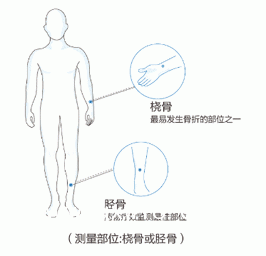 骨密度测量仪器厂家关于便携桡骨胫骨骨密度和跟骨的对比优势